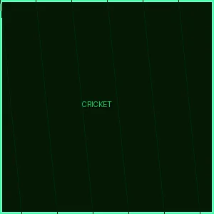 Cricket